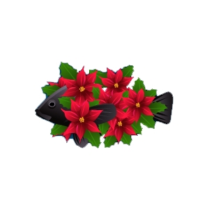 Poinsettia Fish